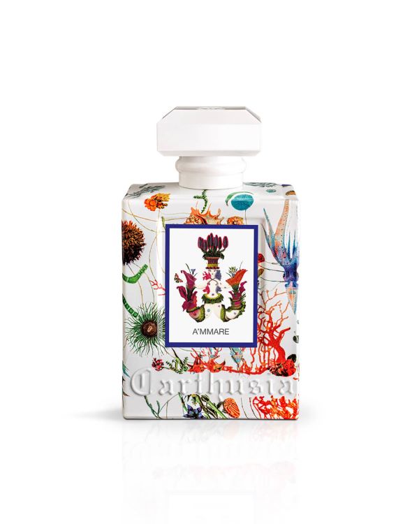 bottiglia del profumo ammare di carthusia