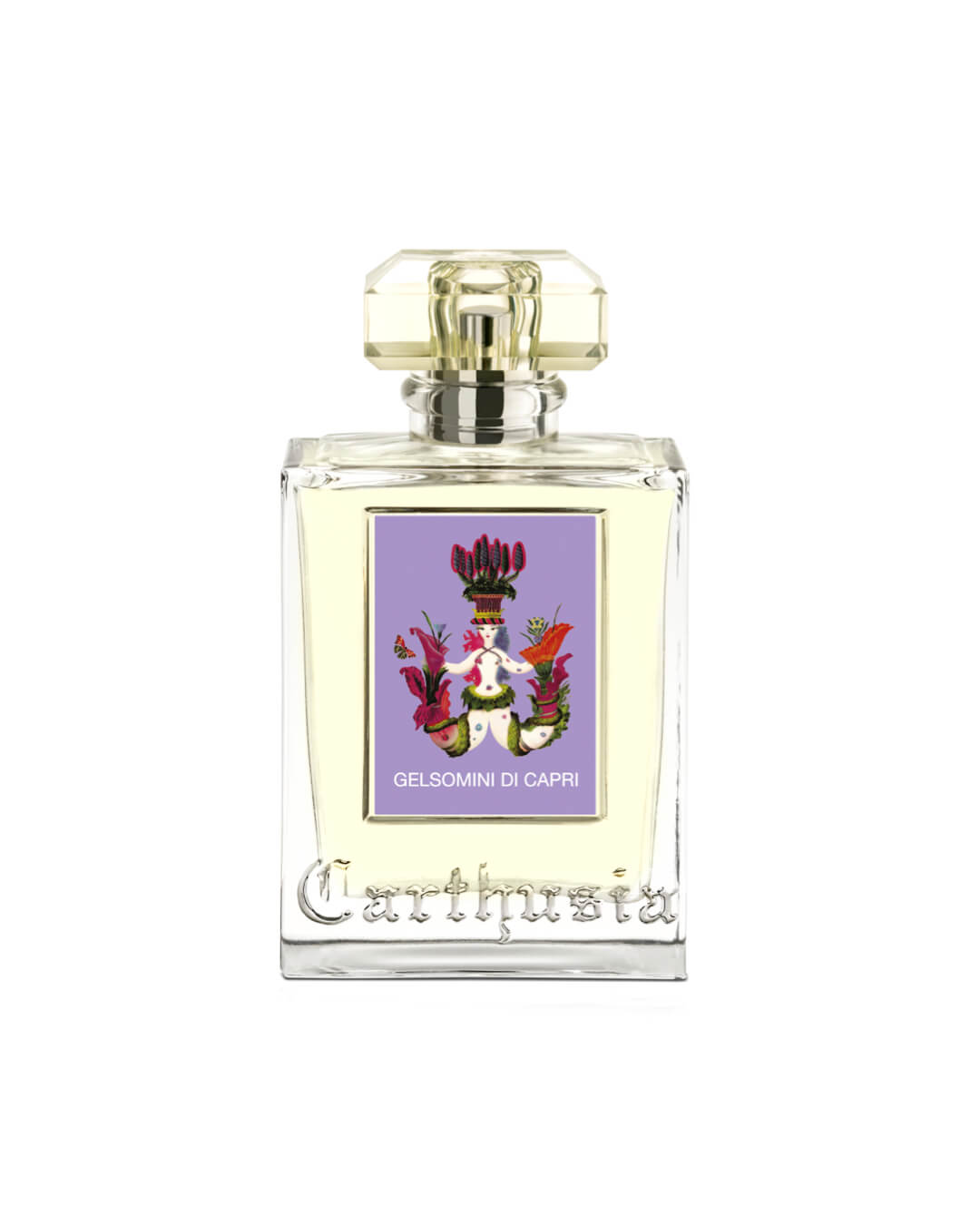 Carthusia Gelsomini di capri