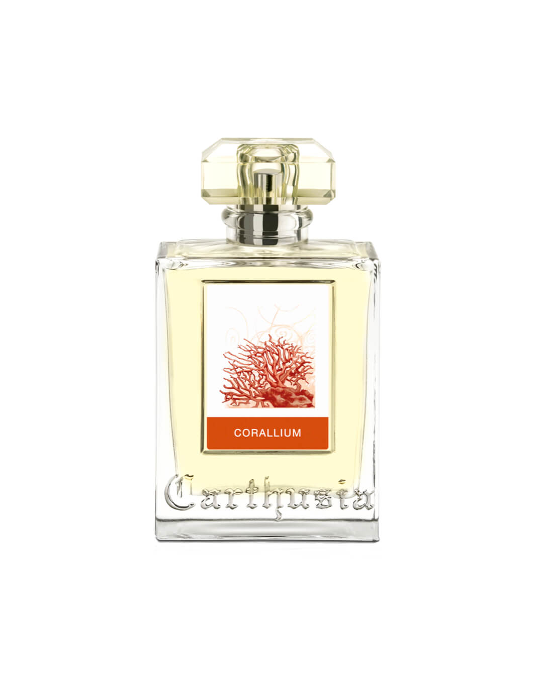 Carthusia Corallium 